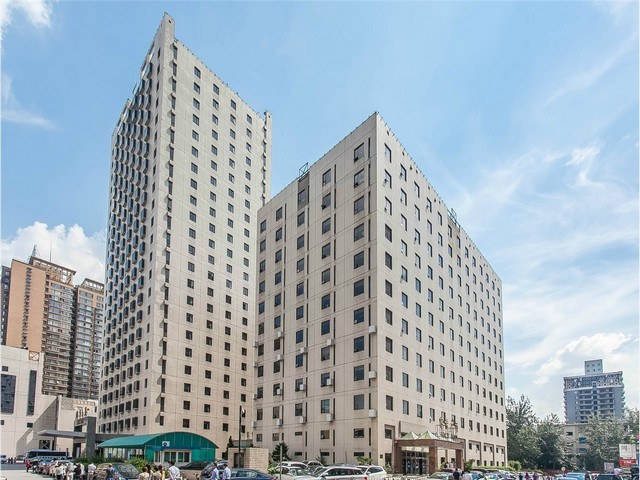 江阴发财树绿植零售